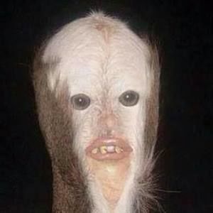 Meet your Posher, Lamond